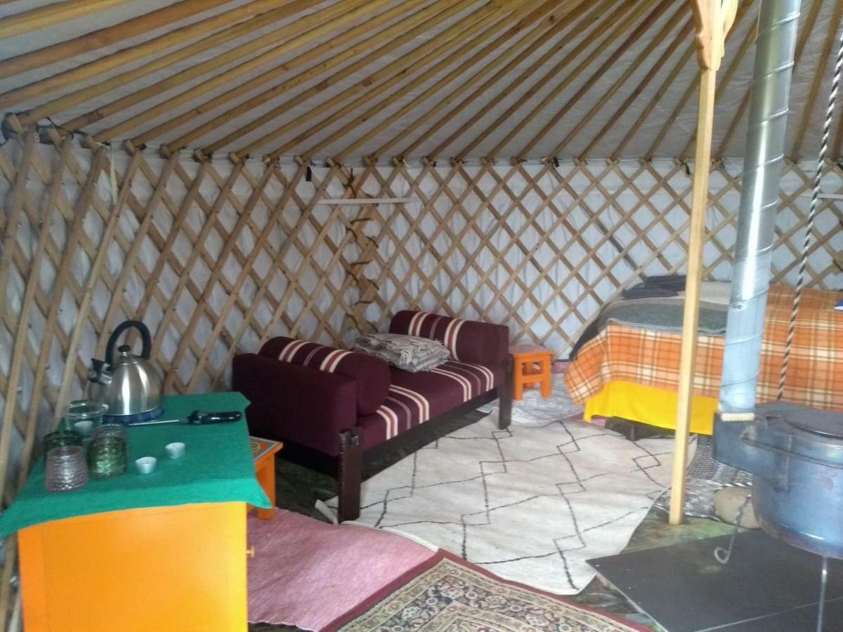 Iceland Yurt Akureyri Exterior foto