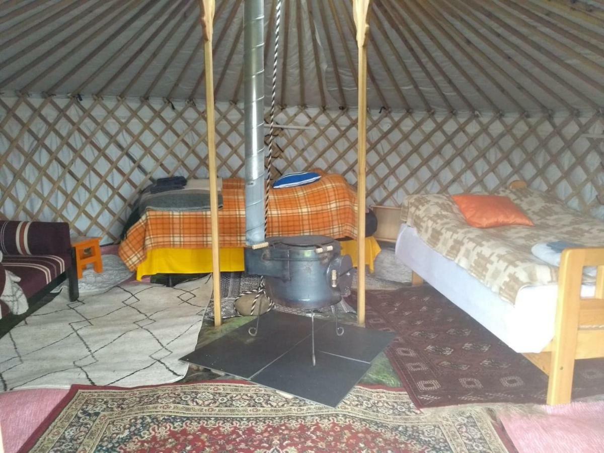 Iceland Yurt Akureyri Exterior foto