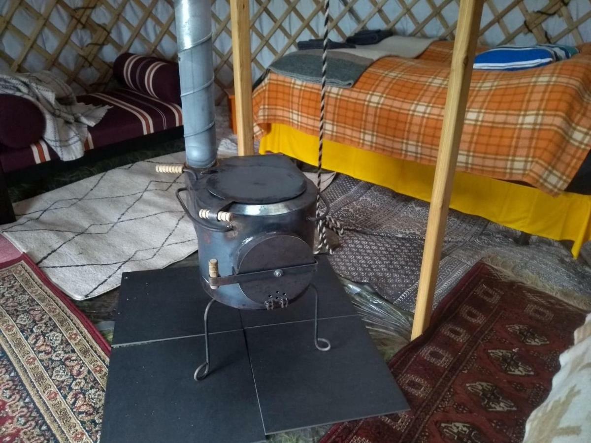 Iceland Yurt Akureyri Exterior foto